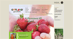 Desktop Screenshot of gotlandspecialisten.se